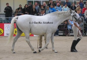 Obrazek